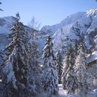 Loipe hinter Pertisau am Achensee