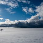 Loipe im Schwarzwald