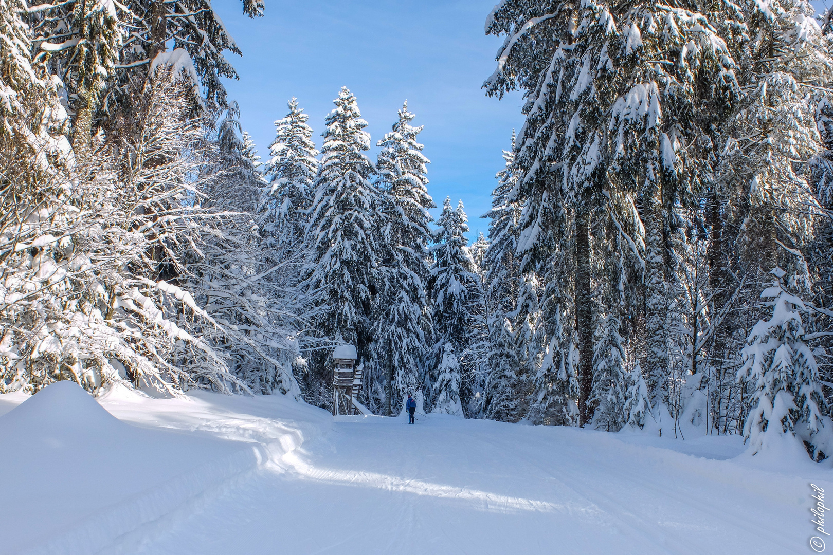 Loipe im Schwarzwald