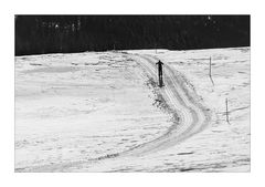 Loipe im Schwarzwald