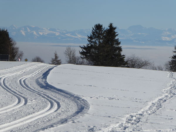 Loipe mit Alpenpanorama