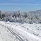 Loipe mit Blick zum Spitzberg(Božídarský Špicák)