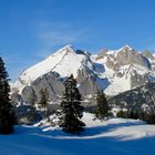 Loipe Übersaxen mit Blick zum Alpstein