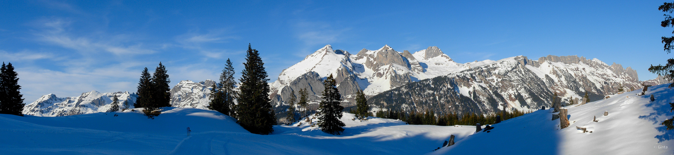 Loipe Übersaxen mit Blick zum Alpstein