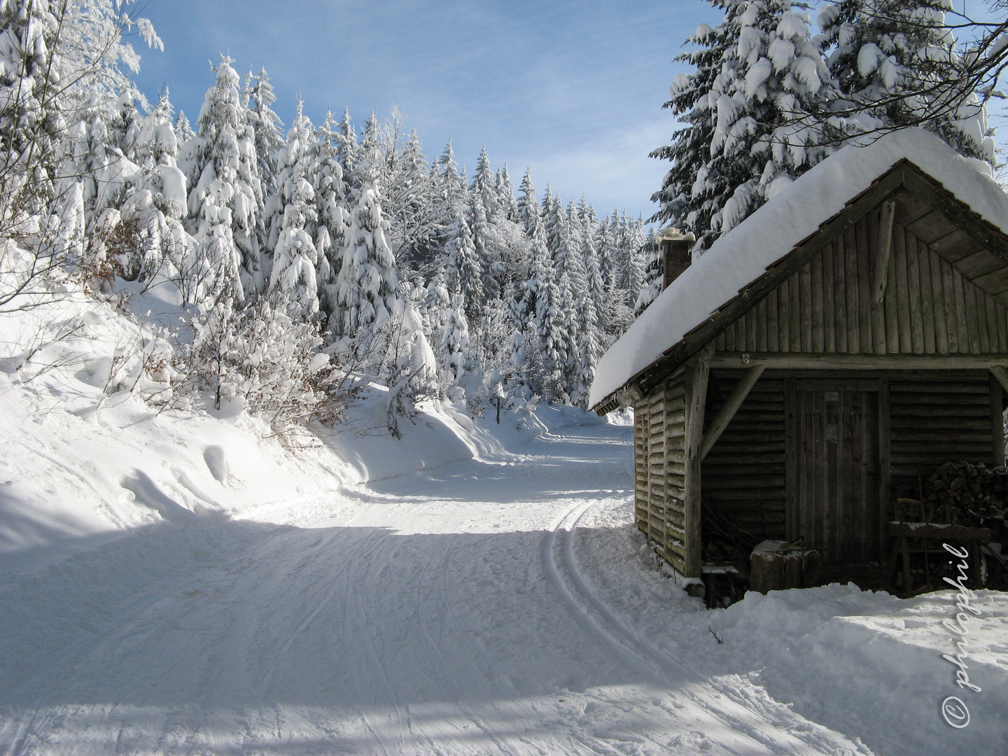 Loipenglück im Schwarzwald