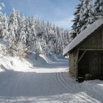 Loipenglück im Schwarzwald