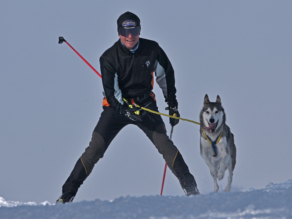 Loipenhund