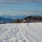 Loipenvergnügen in Sulzberg vor der Kulisse der Schweizer Alpen