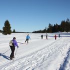 Loipenverkehr