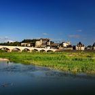 LOIRE bei AMBOISE