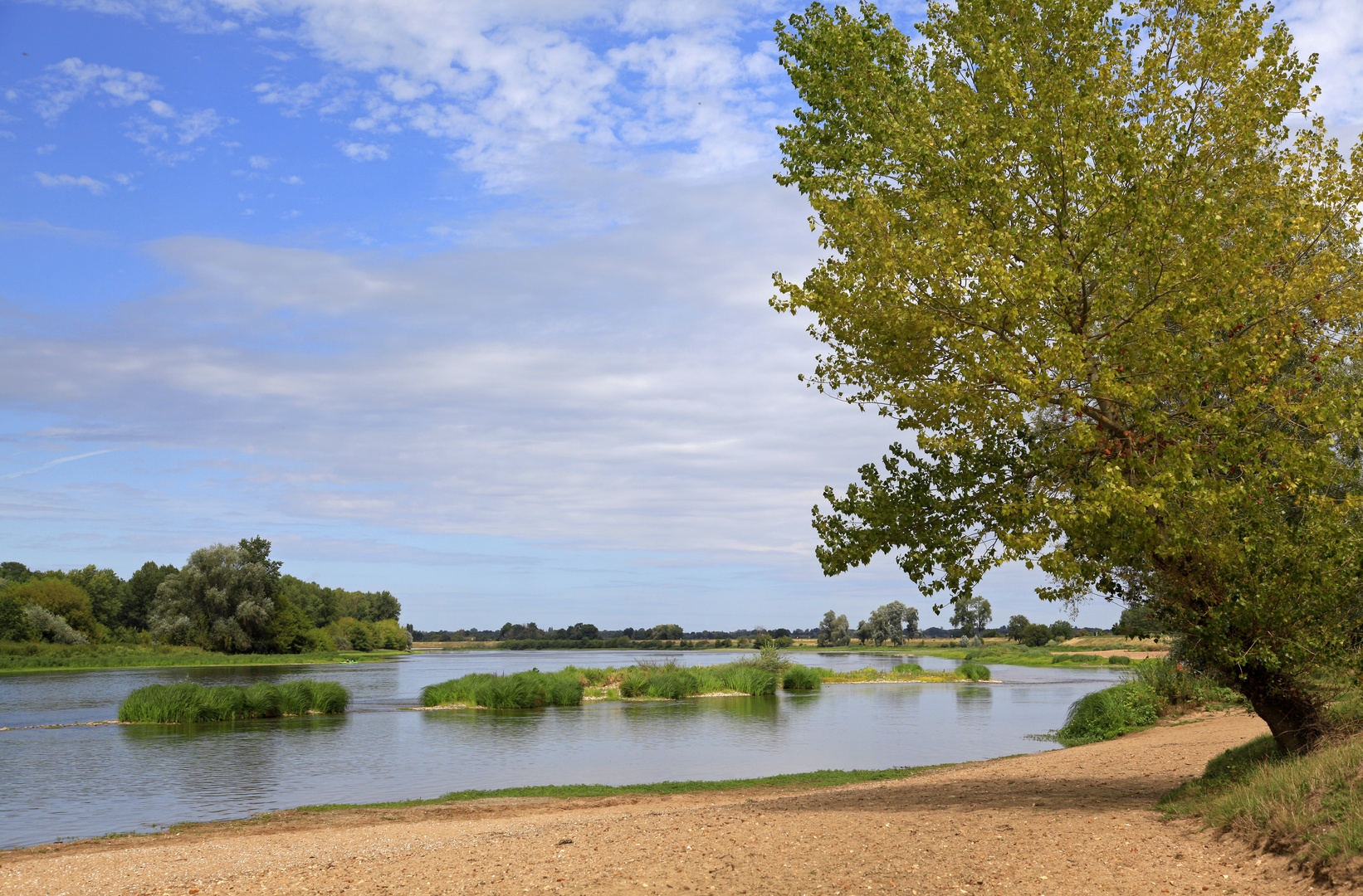 Loire bei Salnt-Benoît