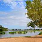 Loire bei Salnt-Benoît