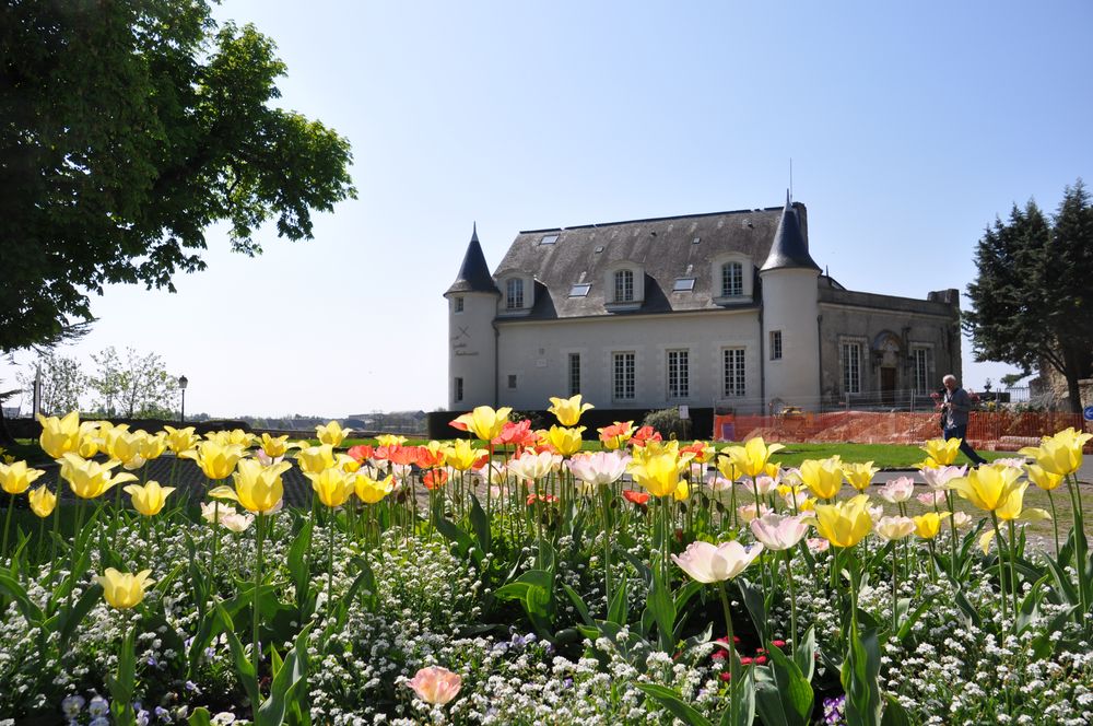 Loire Chateau Renault ( F )