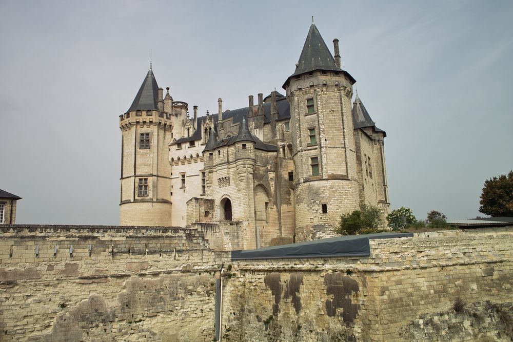 Loire Chateau Saumur ( F )