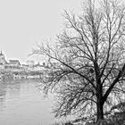 Loire en hiver