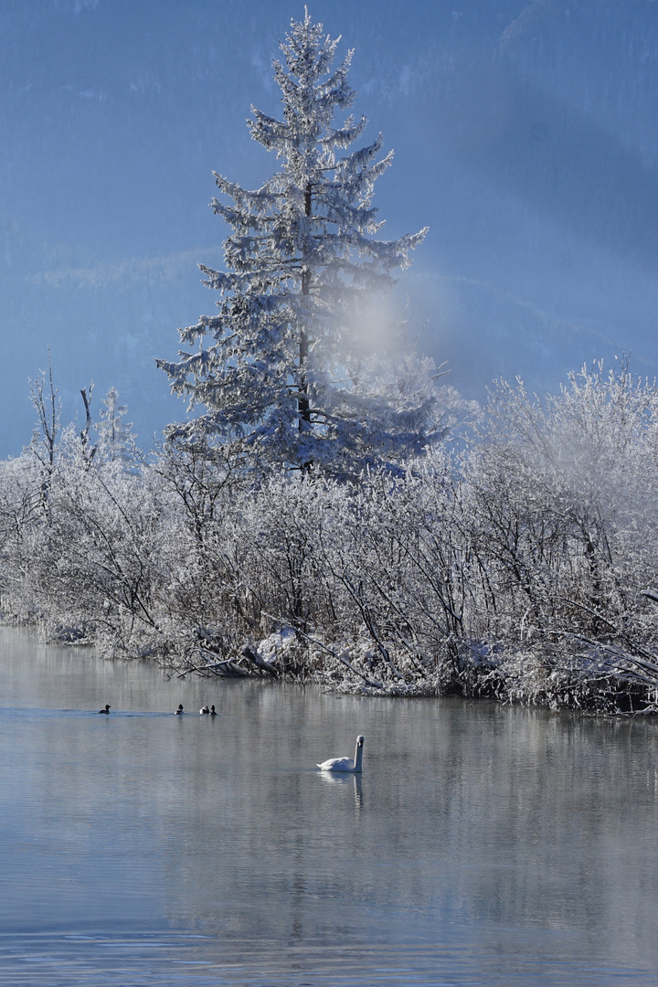 Loisach im Winter