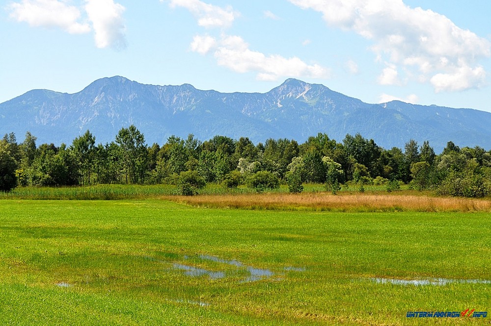 Loisach Wiesen