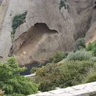 L'oiseau dans la roche