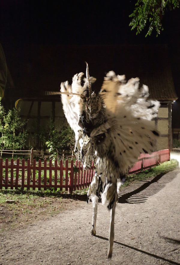 L'oiseau de nuit