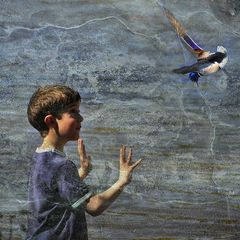 L'oiseau et l'enfant