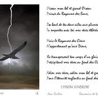 L'OISEAU FOUDROYE POEME