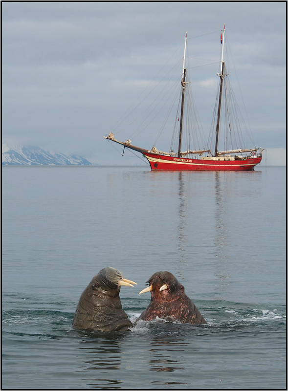 Loisirs nautiques