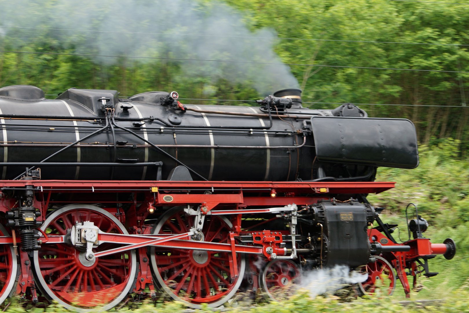 Lok 01 202 in Hirschhorn (Neckar)