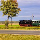 Lok 11 der Mansfelder Bergwerksbahn mit Personenzug nach Hettstedt.