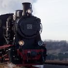 Lok 20 der Mansfelder Bergwerksbahn beim Umsetzen in Hettstedt-Kupferkammerhütte