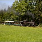 Lok 31 STAMMERSDORF zwischen Erlaufsee-Mariazell.