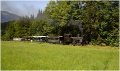 Lok 31 STAMMERSDORF zwischen Erlaufsee-Mariazell.