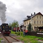 Lok 52 8079 hat, von Annaberg-Buchholz kommend, den Museumsbahnhof Walthersdorf erreicht.