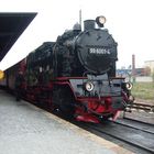 Lok 99 6001 der Harzer Schmalspurbahnen in Quedlinburg