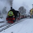 Lok 99 6102 " Fiffi" Heeresfeldbahn Lok Bj. 1914 vor dem Osterhasen Sonderzug am 23.3.2008