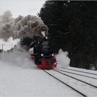 Lok 99 7234-0 mit Zug 8941 Ausfahrt Richtung Brocken. #1