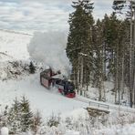 Lok 99-7237 mit Zug 8933 (20.01.2017) #1