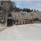 Lok 99-7237 mit Zug 8933 (20.01.2017) #3