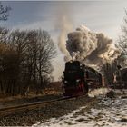 Lok 99 7241-5 mit Zug 8933 (21.02.2018) #2