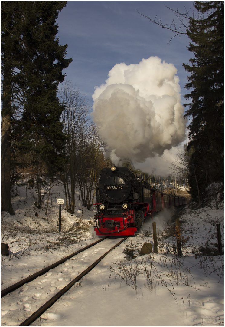 Lok 99 7241-5 mit Zug 8933 (21.02.2018) #3