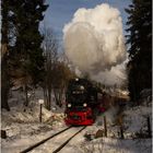 Lok 99 7241-5 mit Zug 8933 (21.02.2018) #3