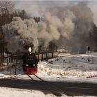 Lok 99 7241-5 mit Zug 8933 (21.02.2018) #4