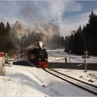 Lok 99 7241-5 mit Zug 8933 (21.02.2018) #5