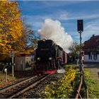 Lok 99 7243-1 mit Zug 8933 (06.11.2017) #1