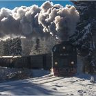 Lok 99 7245-6 mit Zug 8920 (21.01.2017) #1