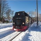 Lok 99 7245-6 mit Zug 8920 (21.01.2017) #2