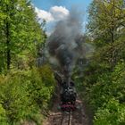 Lok 99 731 unterwegs nach Kurort Jonsdorf