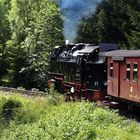 Lok 997234-0 der Harzer Schmalspurbahnen im Fahrbetrieb