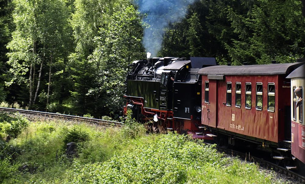 Lok 997234-0 der Harzer Schmalspurbahnen im Fahrbetrieb