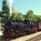 Lok Aquarius im Bahnhof Binz