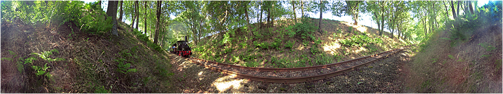 Lok Franzburg donnert den Berg rauf 360° reload